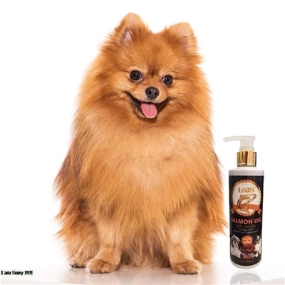 Nên bổ sung Dầu cá hồi cho thú cưng khi nào là tốt nhất? 