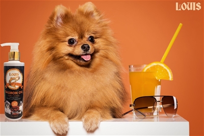 GIÁ TRỊ CỦA DẦU CÁ HỒI LOUIS ĐỐI VỚI SỨC KHỎE CỦA THÚ CƯNG 