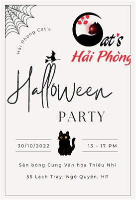 Lễ hội hoá trang Mèo Halloween 2022 tại Hải phòng
