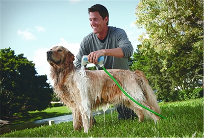 8 mẹo mách bạn chăm sóc chó cưng không thể bỏ qua