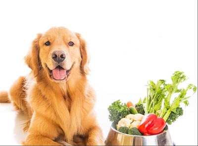 8 LOẠI RAU CỦ &rdquo;THẦN DƯỢC&rdquo; TỐT CHO CHÓ MÈO