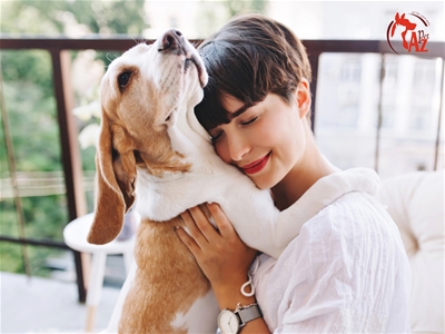 CHĂM SÓC THÚ CƯNG MÙA COVID VÀ NHỮNG ĐIỀU CHỦ NUÔI CẦN BIẾT